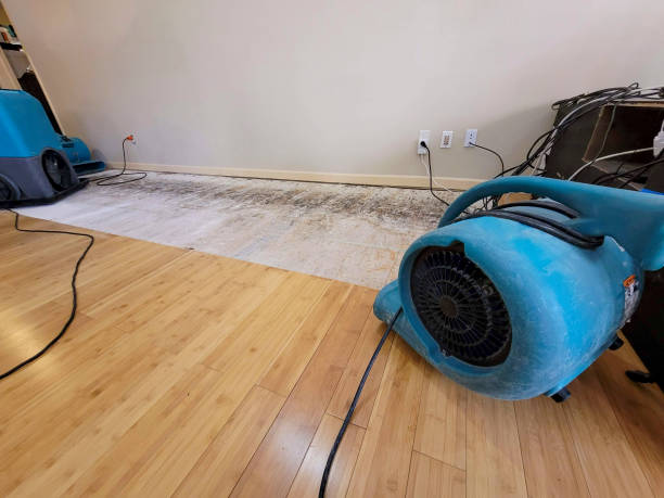 Professional Water Extraction technician working in Waverly, MN